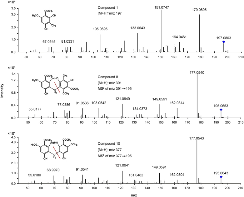 Fig. 3