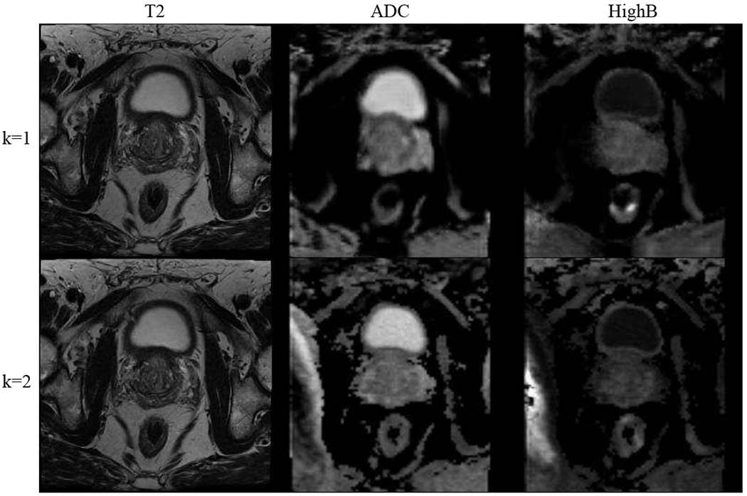 Fig. 8.