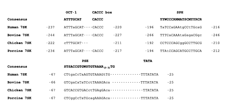 Figure 2: