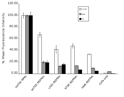 Figure 4: