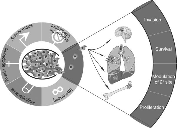 Figure 3.1