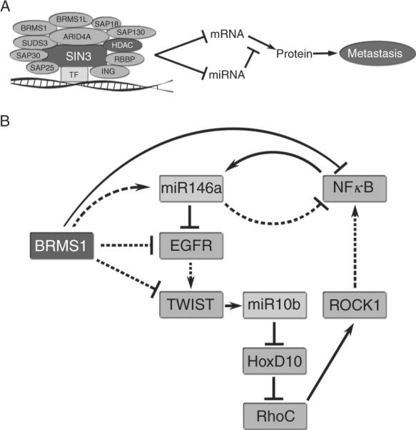 Figure 3.3