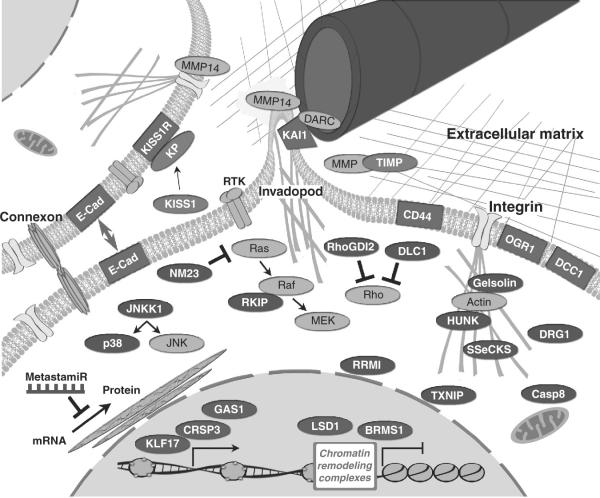 Figure 3.2