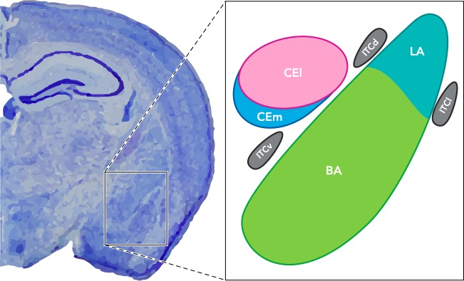 FIGURE 1.