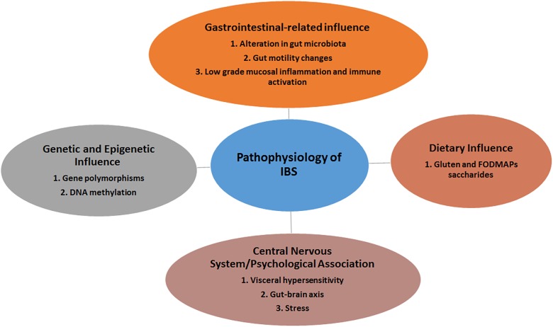 FIGURE 1