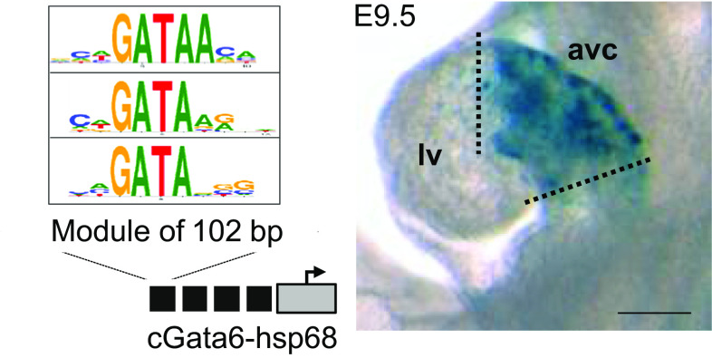 Fig. 2