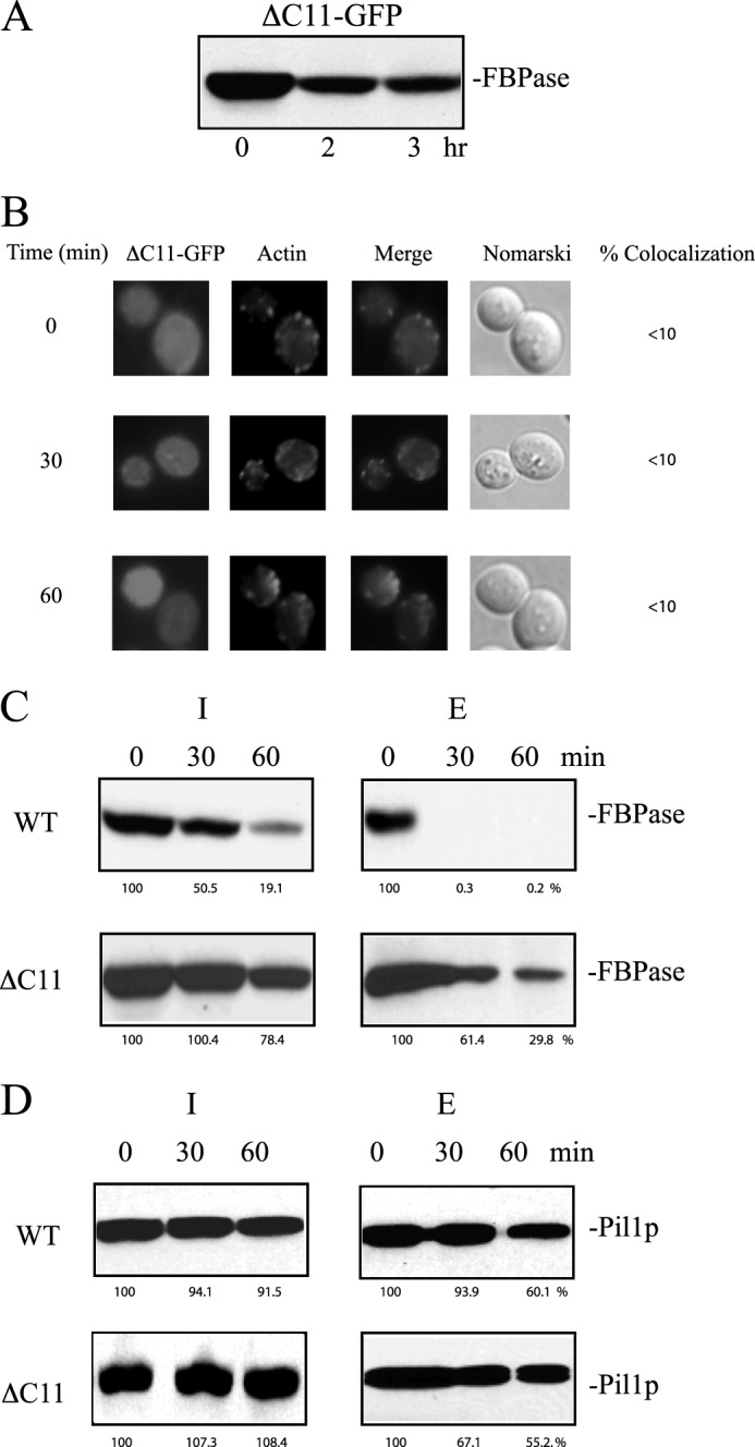 FIGURE 10.