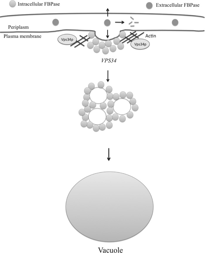 FIGURE 11.