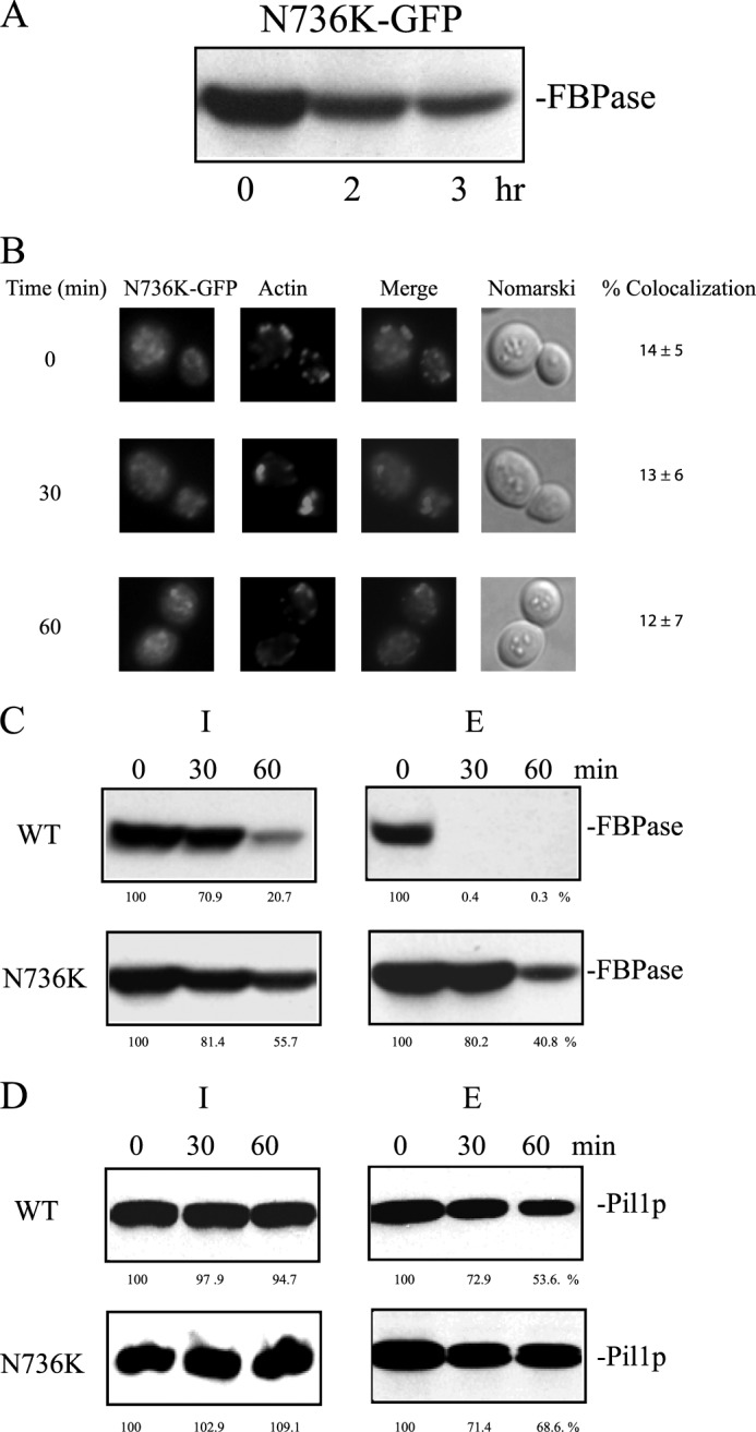 FIGURE 9.