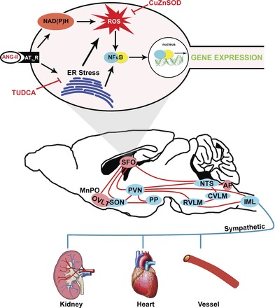 Fig. 6.