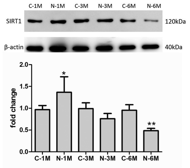 Figure 6.