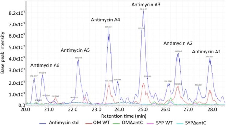 Figure 10