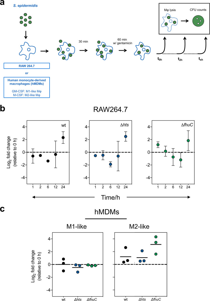 FIG 3