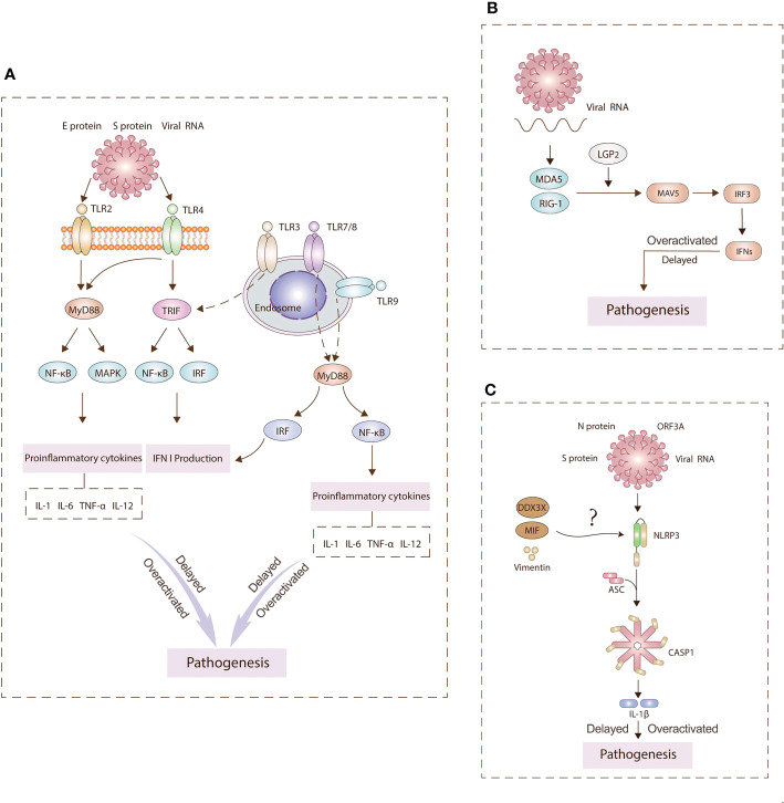 Figure 2