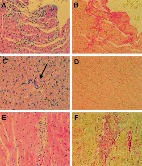 FIG. 8.