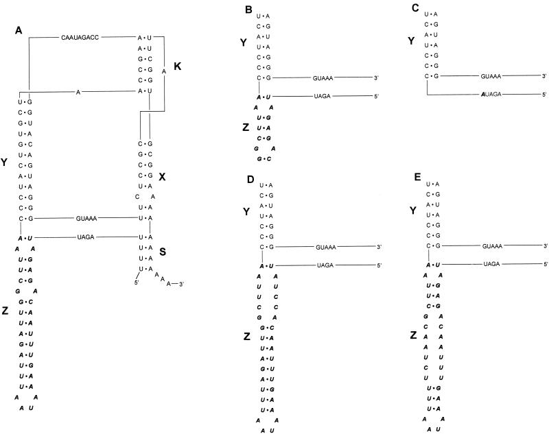 FIG. 2.