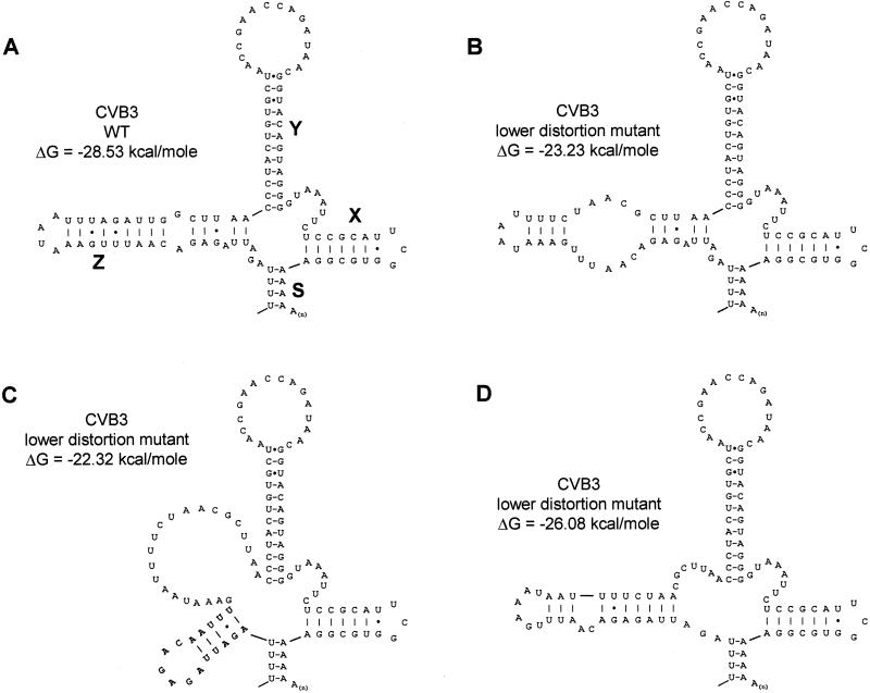 FIG. 4.