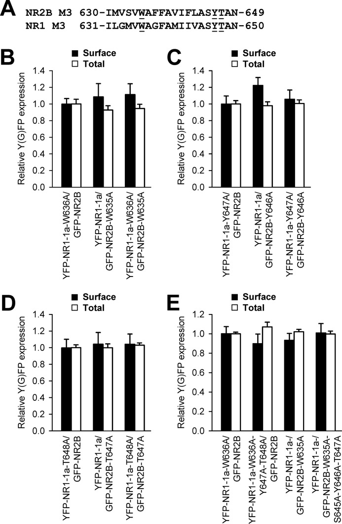 FIGURE 4.