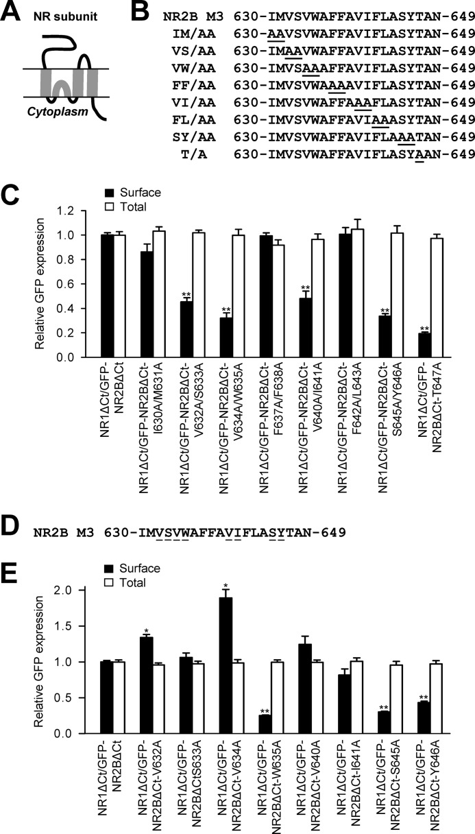 FIGURE 1.