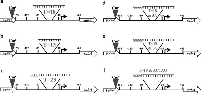 FIG 1