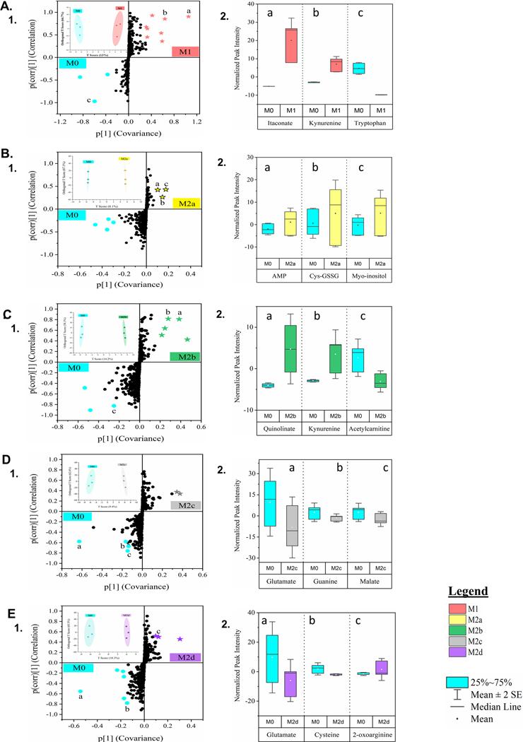 Figure 5: