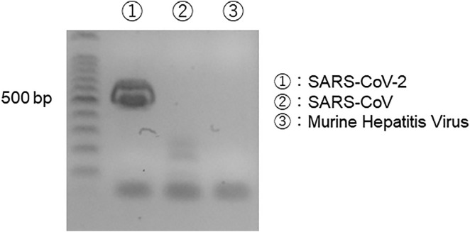 Fig. S1