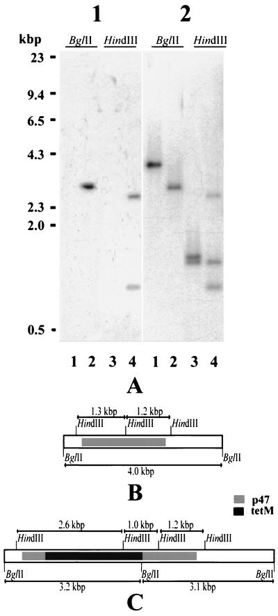 FIG. 7.