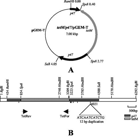 FIG. 6.