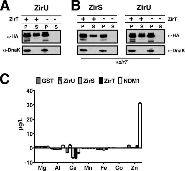 FIGURE 3.