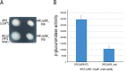 FIG 3