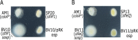 FIG 2