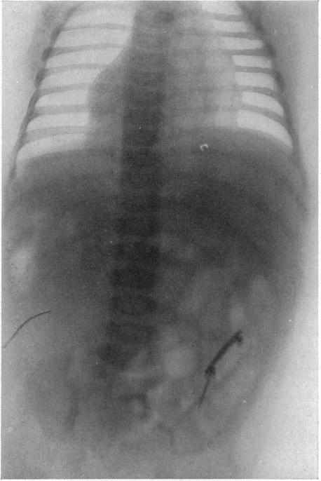 FIG. 7.