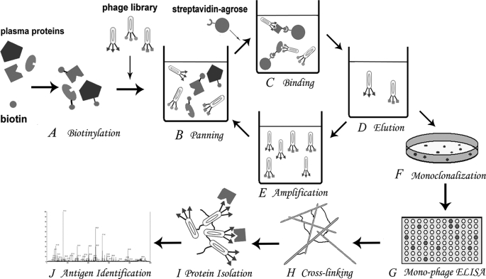 FIGURE 1.