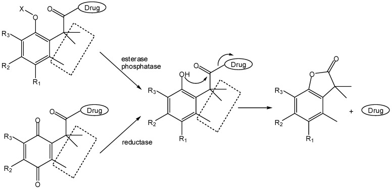 Scheme 14