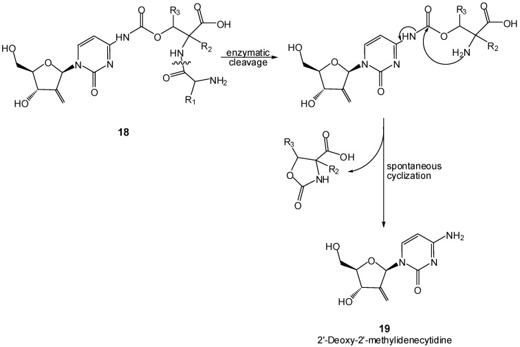 Scheme 11