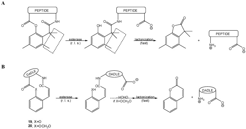 Scheme 15