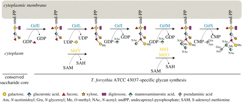 Figure 5.