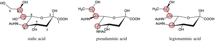 Figure 4.