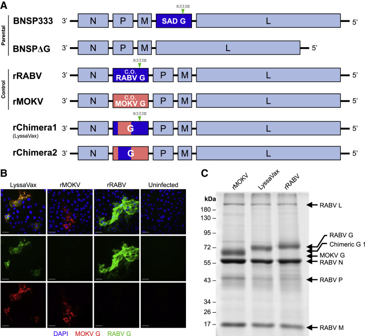 Figure 2