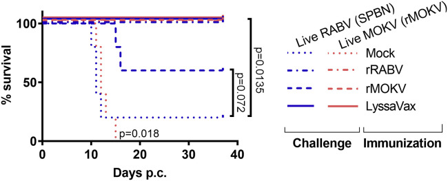 Figure 6