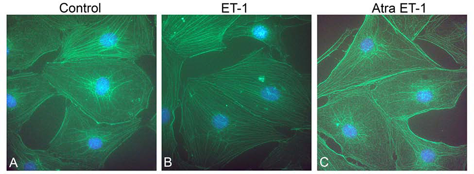 Figure 10.