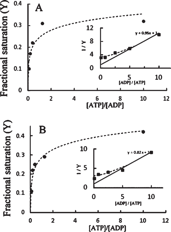 Fig. 9