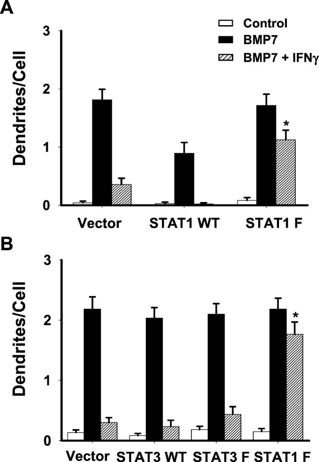 Fig. 9.