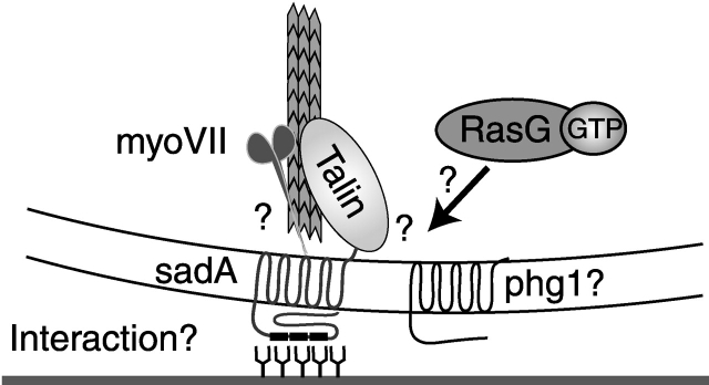 Figure 10.