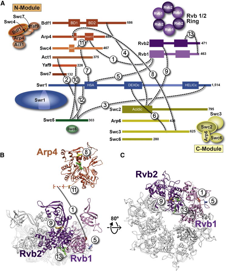 Figure 5