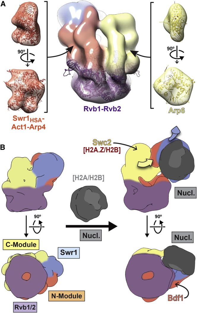 Figure 7