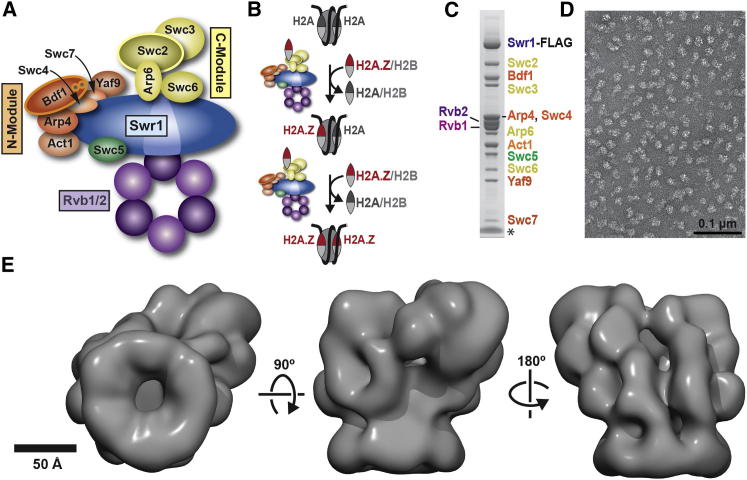 Figure 1