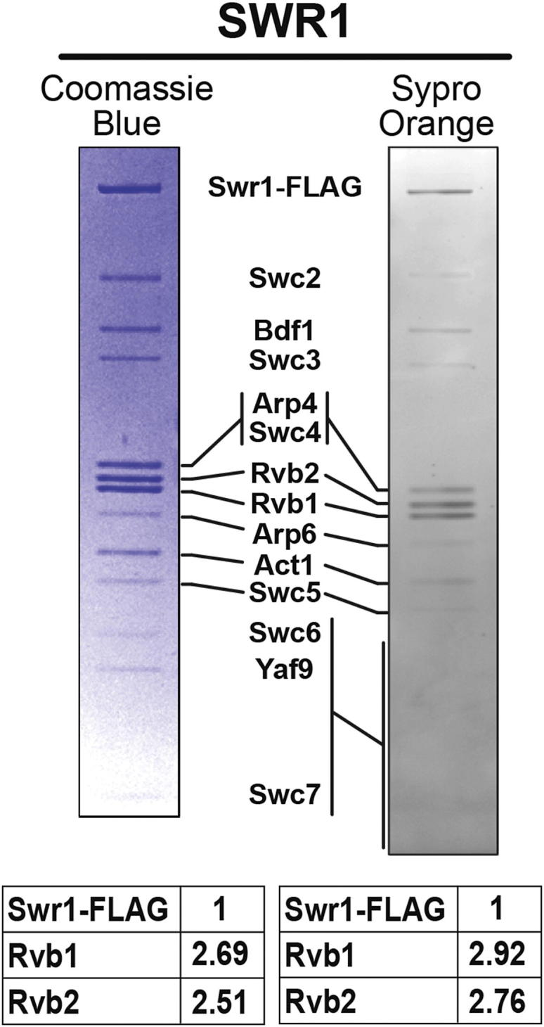 Figure 3