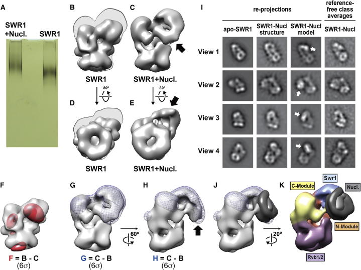 Figure 6