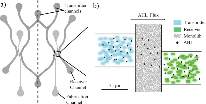 FIG. 2.